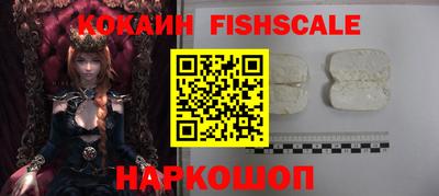 индика Гагарин