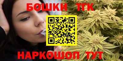 индика Гагарин