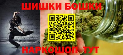 индика Гагарин