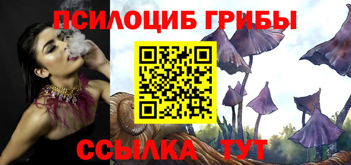 Галлюциногенные грибы Psilocybine cubensis Сорочинск